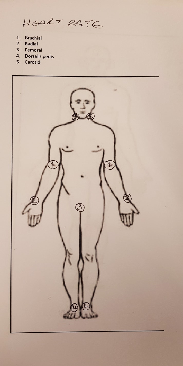 Photocopy of original Body Map from the NHS